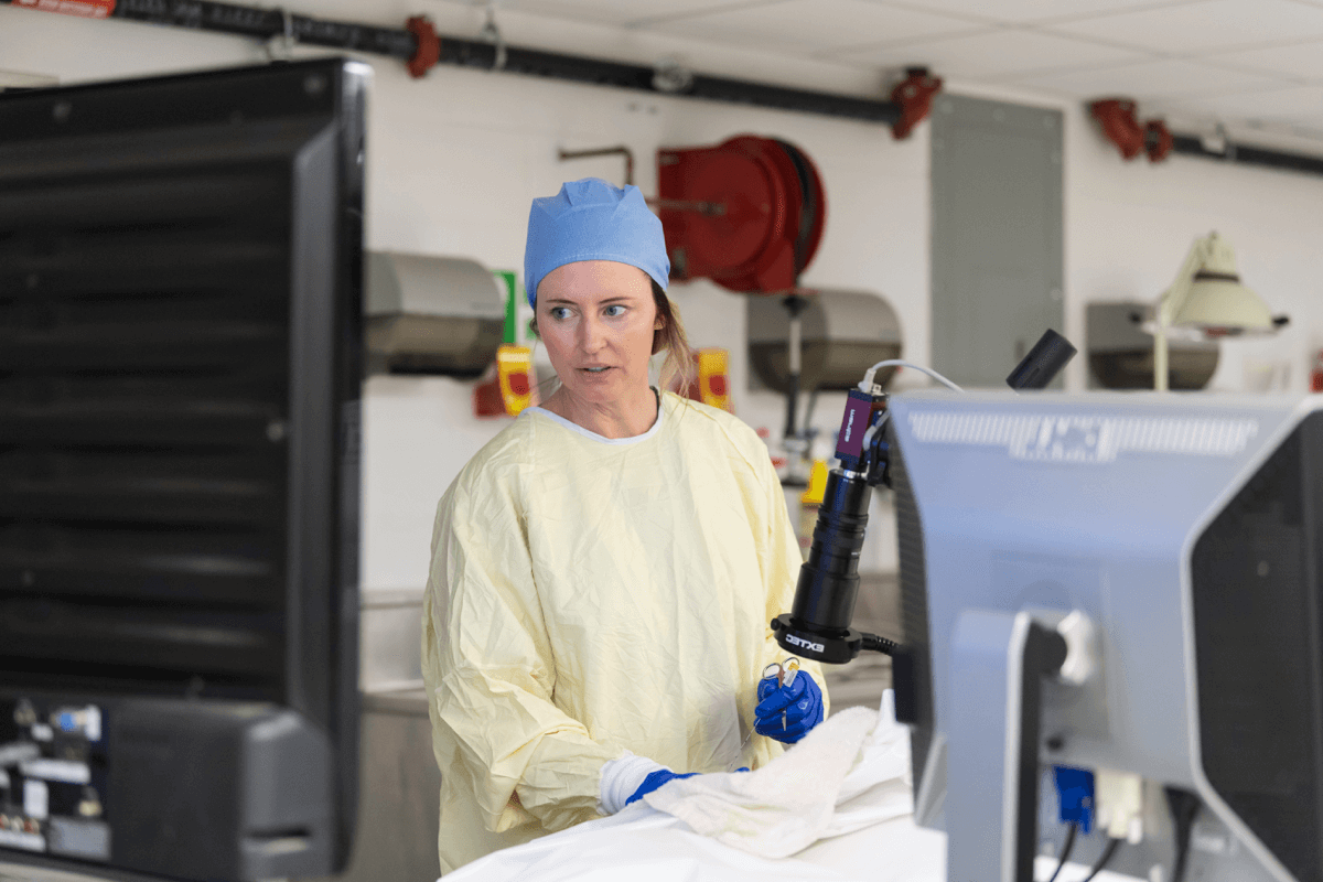 Faculty and medical students conduct research in a lab at the University of Rochester